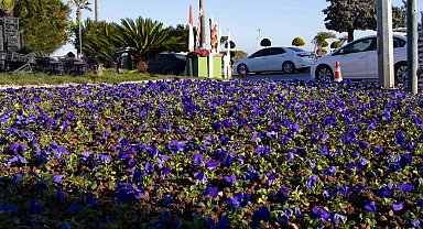 Mersin Büyükşehir Belediyesi yeşil alan bakımlarını sürdürüyor