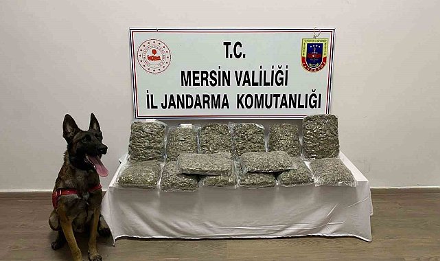 Mersin'de 14 kilo 200 gram skunk ele geçirildi