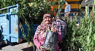 Mersin'de üreticilere badem fidanı desteği