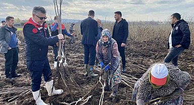 Meyve Fidanı Üretimi Ülke Ekonomisine Büyük Katkı Sağlıyor