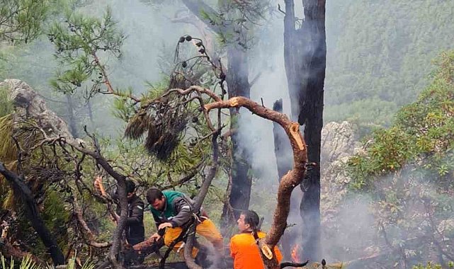 Muğla'da kış ortasında orman yangını