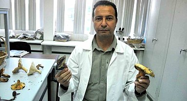 Muğla'da mantar bereketi yaşanırken, uzmanlar zehirlenmelere karşı uyardı