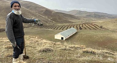 Muhyettin amca 40 yıllık hayalini gerçekleştirdi: 15 dönümlük arazisine 500 meyve fidanı dikti