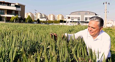 Muratpaşa Gıda Politika Rehberi geliyor