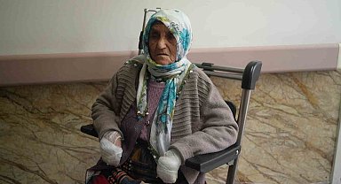 Muş Valiliğinden 'köpek saldırısı' açıklaması