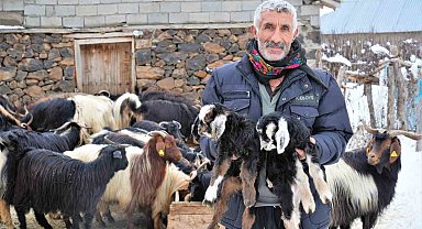 Muş'ta yüksek rakımlı köyler kara gömüldü