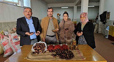 Nazilli'de kestane üreticileri, Çin kestanesine karşı coğrafi işaretli ürünlerine sahip çıktı