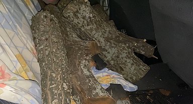Odun hırsızı suçüstü yakalandı