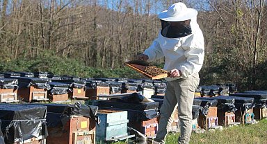 Ordu'da arıcılar yeni sezona hazırlanıyor