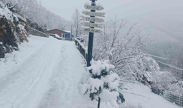 Ordu'nun yüksek kesimlerinde kar yağışı etkili oldu
