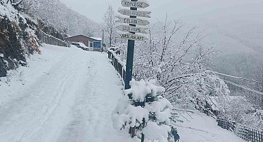 Ordu'nun yüksek kesimlerinde kar yağışı etkili oldu