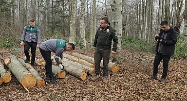 Orman emvali borkotlandı