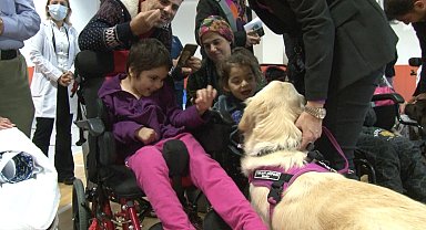 Özel eğitimli terapi köpekleri hastaların tedavisine destekte aktif rol oynayacak
