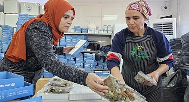 Pamukkale'de kadınların el emekleri kooperatif çatısında buluştu