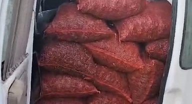 Samsun'da kaçak 20 çuval kara kıllı midye ele geçirildi