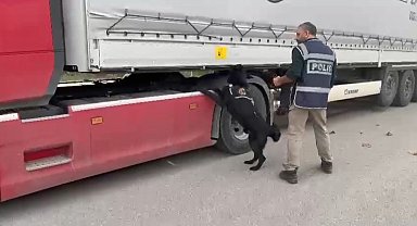Samsun'da tırda 3 kilo 950 gram skunk ele geçirildi