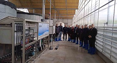 Sandıklı'da seralarda kullanılan su tekrar değerlendirilecek