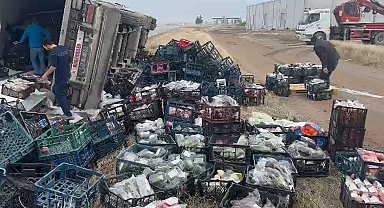 Sebze ve meyve yüklü tır devrildi