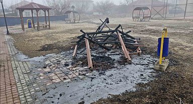 Şehir magandaları parktaki kamelyayı yaktı