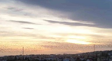 Şehrin semalarında muhteşem dans