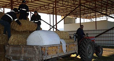 Şehzadeler Belediyesi tarım projesi ile üreticinin elini güçlendirdi