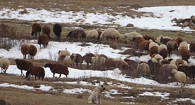 Sıcak hava çiftçilere yaradı