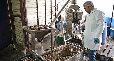 Sıfır atık ile zeytinyağı üretimi yaptı