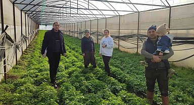 Simav'da seralarda kontrol ve örtü altı kayıt güncelleme işlemleri