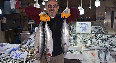 Sinop'ta 3 ve 5 kilogram arası torikler 500 TL