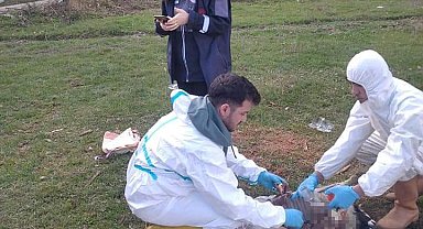 Sinop'ta ani koyun ölümleri: 1 haftada 18 koyunu telef oldu