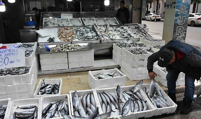 Sinop'ta palamudun tanesi 200 lira