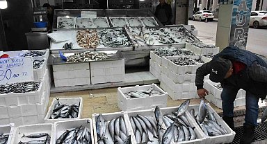 Sinop'ta palamudun tanesi 200 lira