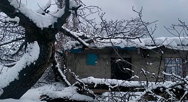 Şırnak'ta fırtına nedeniyle ağaç devrildi