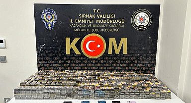 Şırnak'ta terör ve kaçakçılık operasyonu: 82 kişi hakkında adli işlem yapıldı