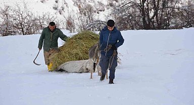 Şırnaklı besici kızak yardımıyla saman balyalarını taşıyıp hayvanlarını besliyor