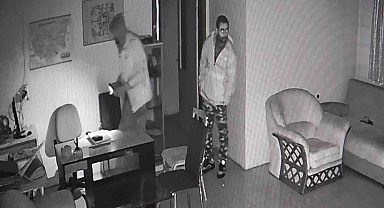 Site fareleri kameralara yakalandı