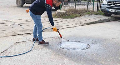 Sivrisinek ve haşere ile mücadele
