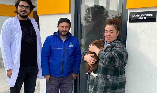 Sokak Hayvanları Bakımevi'nde ilk sahiplendirme yapıldı