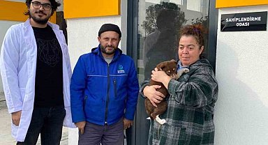 Sokak Hayvanları Bakımevi'nde ilk sahiplendirme yapıldı