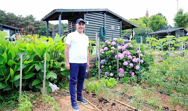 Sultangazi Belediyesi, hobi bahçeleri ile ilçe sakinlerinin doğa özlemini gideriyor
