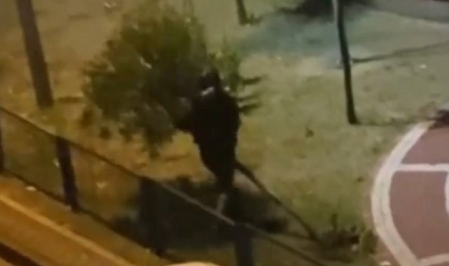 Sultangazi'de bir kişi parktaki ağacı yerinden söktü