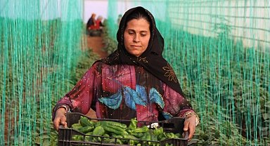 Tarımsal girdi enflasyonu ekimde yüzde 40,11 oldu