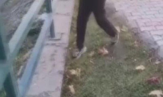 TikTok'ta paylaşmak için acımasızca görüntüleri kaydetmişti, sınır dışı edilecek