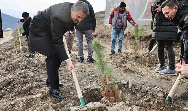 Tokat Belediyesi 10 yılda 260 bin fidanı toprakla buluşturdu