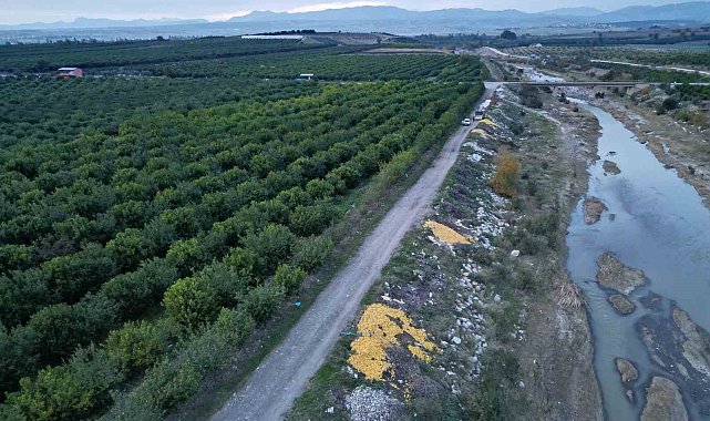 Tonlarca limon dere yatağına döküldü