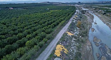Tonlarca limon dere yatağına döküldü
