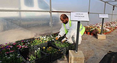 Toroslar Belediyesinden, Cumhuriyetin 100. yılına özel 100 bin bitki üretimi