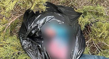 Tunceli'de kaçak avcılık yapan 2 şahsa 308 bin lira ceza kesildi