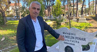 Türkiye'de sokak hayvanlarıyla ilgili acı tablo: 21 ayda 40'ı çocuk 92 kişi hayatını kaybetti