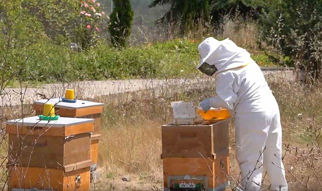 Tuzla'da Arıcılık Kursu'nu tamamlayan 40 kursiyer sertifika almaya hak kazandı